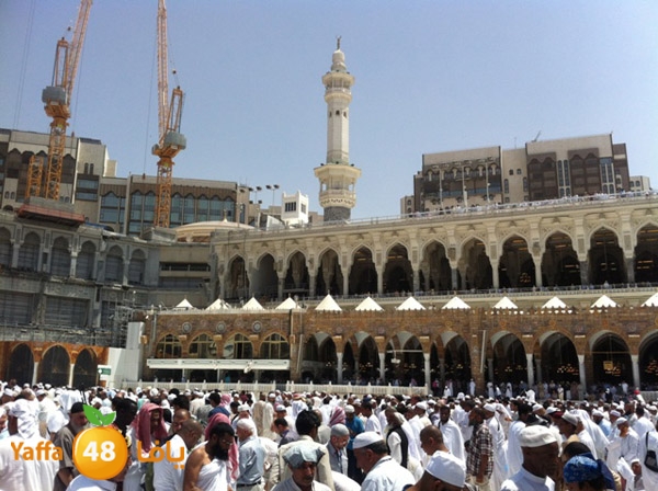 3omranewyaffa326 (66).JPG